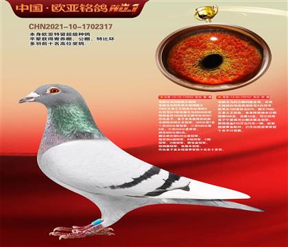 ���Գ����ֹ�926����X��ľ14��767