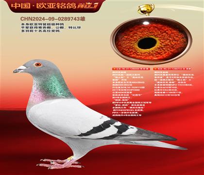 ��ƿ�����������666����ƿ��Ҵ�������Ů732