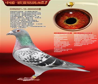 ʩ������ɺ�956��ʩ������ɺ�889