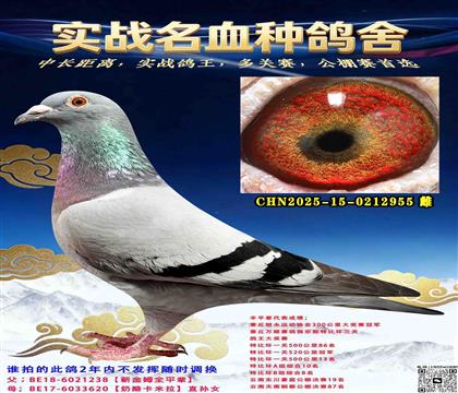 �ر�һ����һ��ѡ����