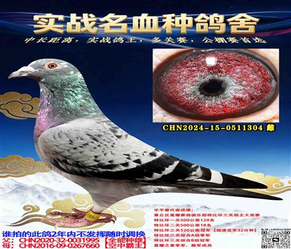 ����2000�����Ǿ�ֱŮ