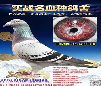 ����ֱŮ