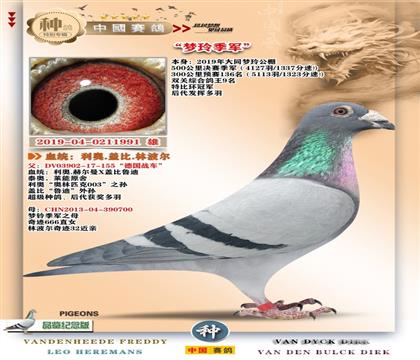 1-����003+�ֲ����漣32=�����������