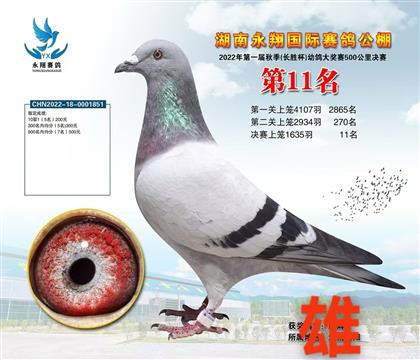 ���蹫�����11��������003X�Ǳ�