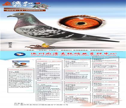 �����135��/���徺���Ĺظ���35���ֵ�