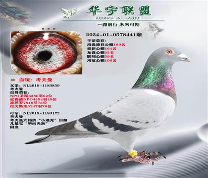 ������ �ٰ���ֱ��XС�Ͽ�ֱ��Ů ��ķ