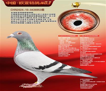 �Ǳ�.�����ɱ�ԭ��998X199