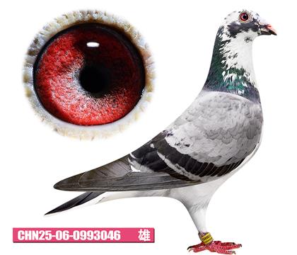 ���ǲ���-���ض�046
