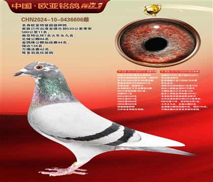 ����Xɣ��ʿ116X����926ֱŮ457