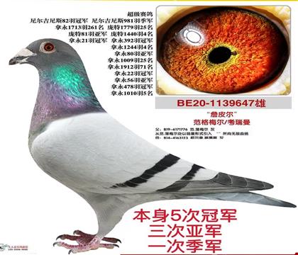 5�ιھ�3���Ǿ�1�μ���