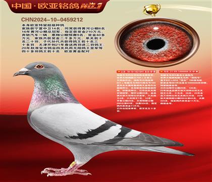 ����041Xɣ��ʿ006