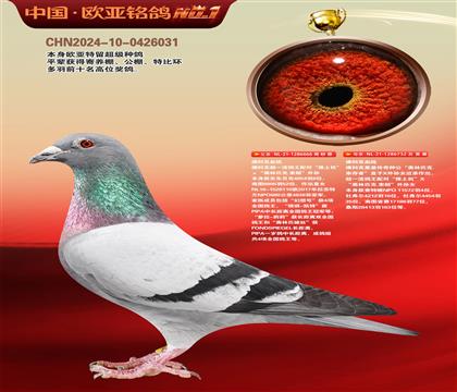 ��ƿ�����������666����ƿ��Ҵ�������Ů732