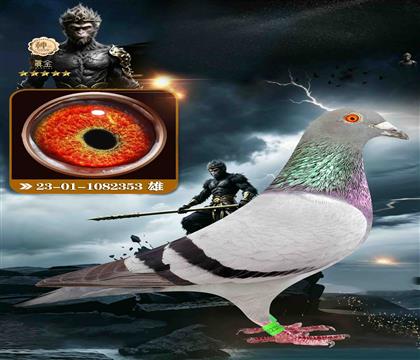 Ӣ��˹353