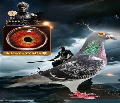 С�Ͽ˷�ƿ�428