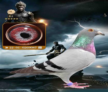 �ٶȿ�ħ����˹087