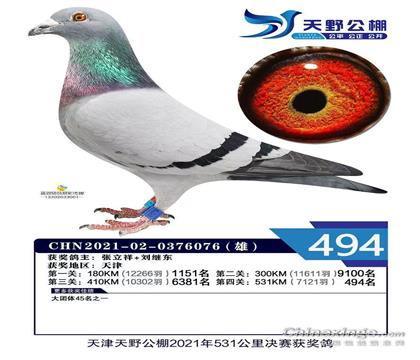��Ұ����494��  ������������