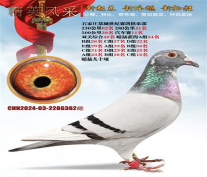 �����ɼ��롢��ʮ����