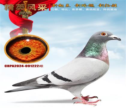 ���ҳ�����˻�Ѫ����