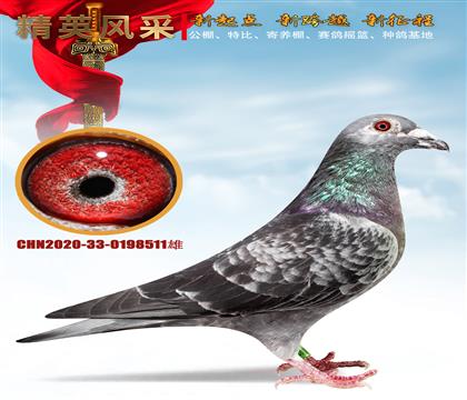 ���ո���ֱ��