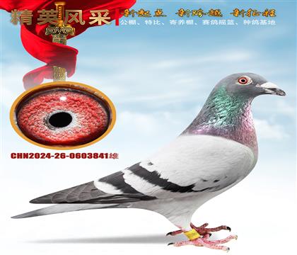 �Ǳ�³�ϻ�Ѫ
