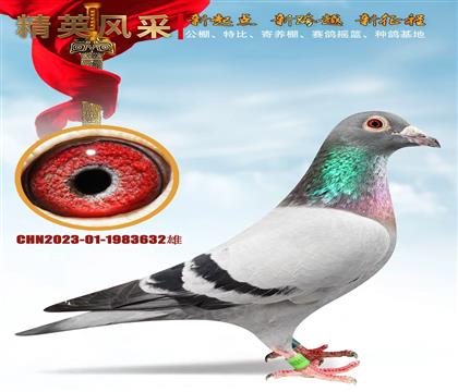 �߼������ۡ�ǿ���Ƽ�