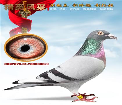 �Ǳ����硢4545