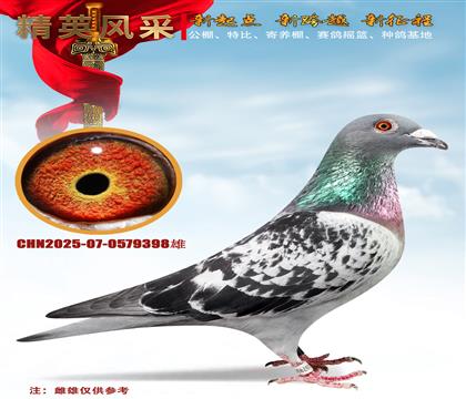 �������⹫�ｱ�롢200����165��