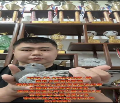 �����ٶȸ�ϵ�����ǿ��ա�����������ֱ��X������������ֱŮ