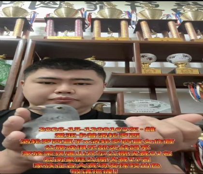 �����ٶȸ�ϵ�����ǿ��ա�����������ֱ��X������������ֱŮ