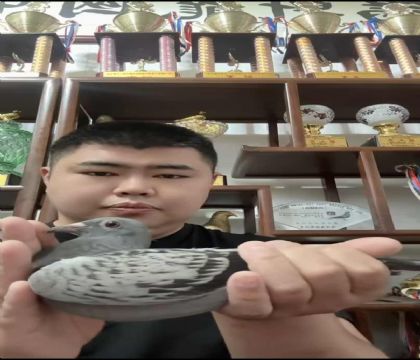 ���ٱ�Ѫ�����º،���˹�������ֱ��X�������ֱŮ
