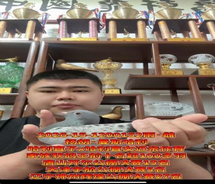 �����������������˹����ֱ��X����ֱŮ��������