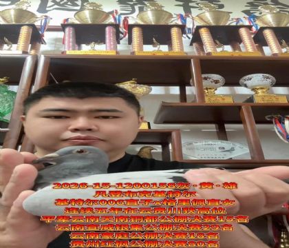 �����ƽ���ԣ����ǲ��ˡ�����ƥ��006��ֱ��X�������塱ֱŮ