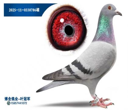 劳拉全兄弟近亲孙女