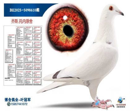 (比利X坎迪拉)直孙女