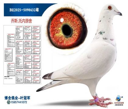 黄金配对(杜恩X基林)直孙