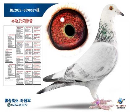 (乔克X佐伊)直子