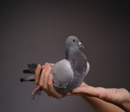 ���������530�����Ǿ���18�꿪����������ھ�