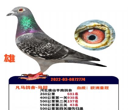 ŷ�޻ʹ�