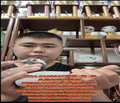 �ƹ�������ѡ���ǲ��ˡ�����ƥ��006��ֱ��X�����ض�����Ů