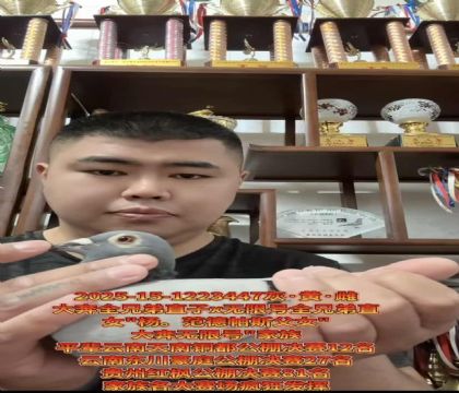 �ƹ󴨹���ʵս��������.������˹��Ů��ֱ��X���޺�ֱŮ