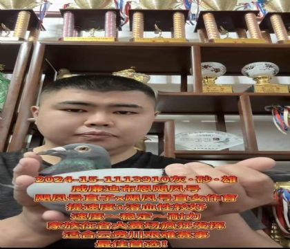 ����ӮǮ�����������ϲ�����쫷�š�ֱ��X��쫷�š�ֱŮ