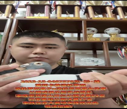 �����ٶȸ�ϵ�����ǿ��ա�����������ֱ��X������������ֱŮ