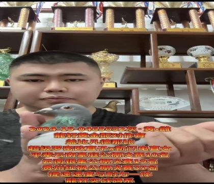 ���ƽ���ԡ��Ǳ�����ŷֱ��X������ֱŮ����
