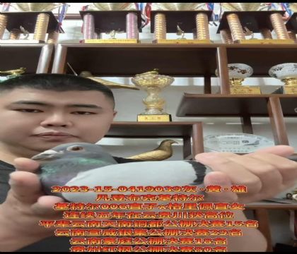 �����ƽ���ԣ����ǲ��ˡ�����ƥ��006��ֱ��X�������塱ֱŮ
