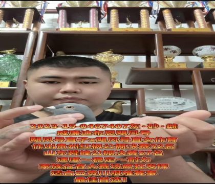 ����ӮǮ�����������ϲ�����쫷�š�ֱ��X��쫷�š�ֱŮ