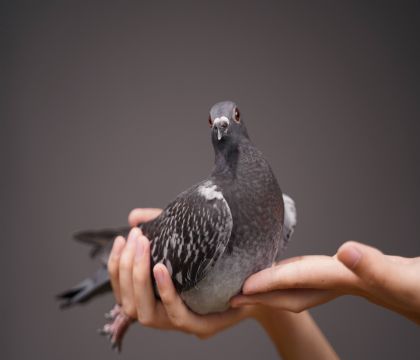 �������Ĺ���������315��������쫷�ֱŮ