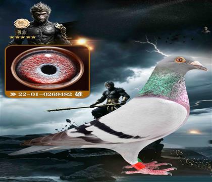 吉尔特海伦482