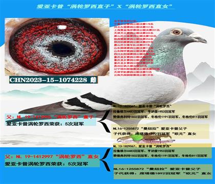 (重点推荐)爱亚卡普“涡轮罗西直子”X“涡轮罗西直女”