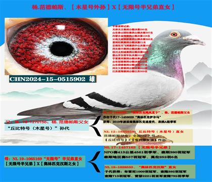 (公棚专家)范德帕斯“丘比特号外孙”X“无限号半兄弟直女”