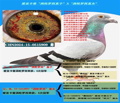 (重点推荐)爱亚卡普“涡轮罗西直子”X“涡轮罗西直女”